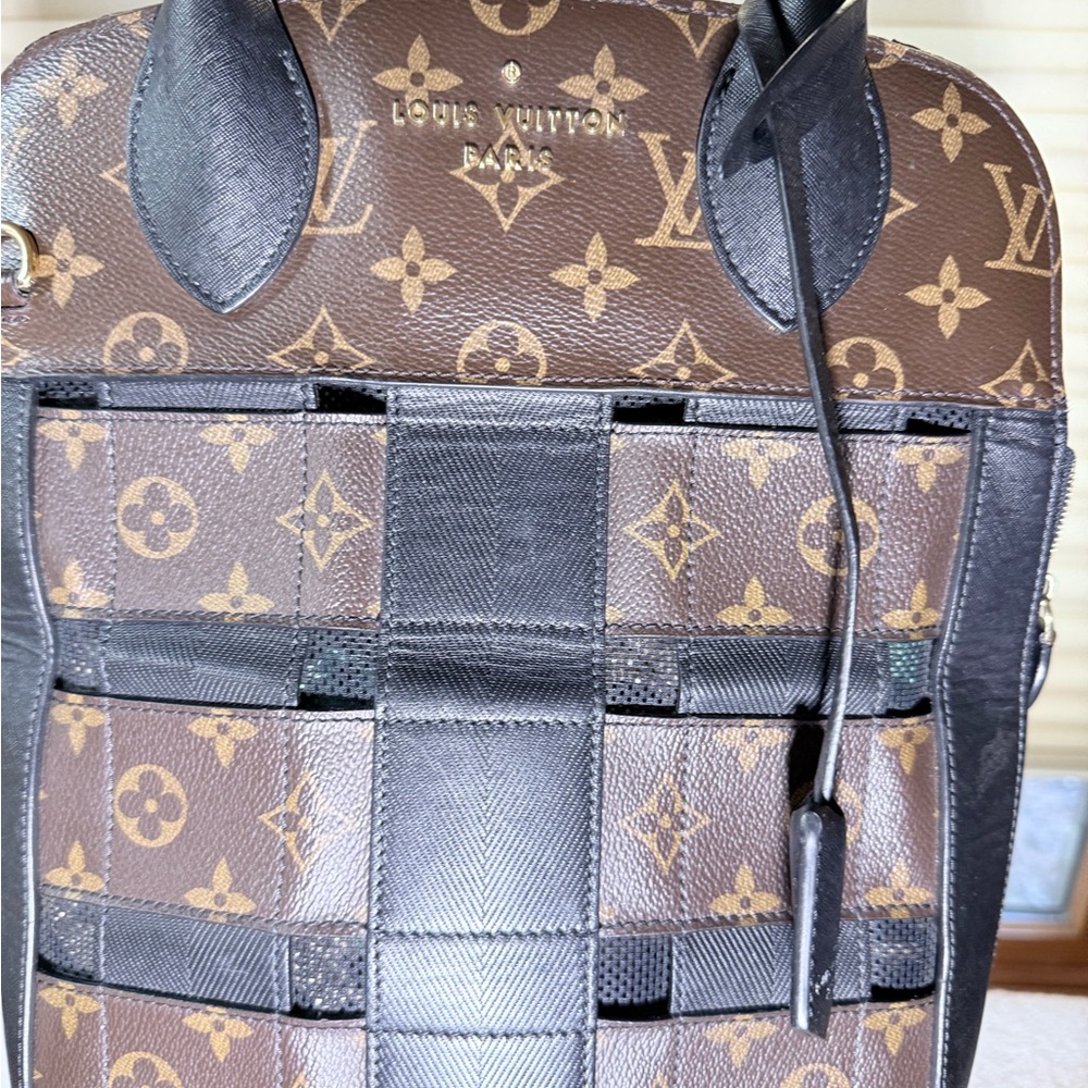 Louis Vuitton Tressage Tote - Picture 3 of 13